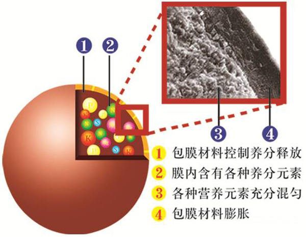 控释肥究竟控了啥？