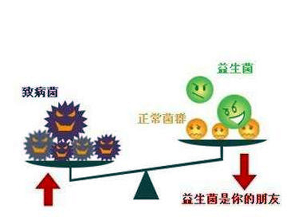 花生菌剂再升级 防病促生效果强